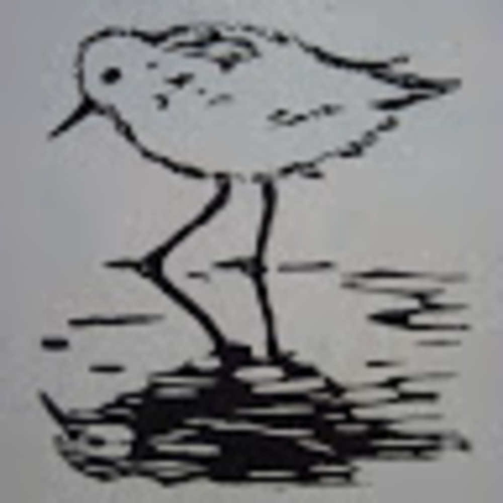 Meet your Posher, Sora